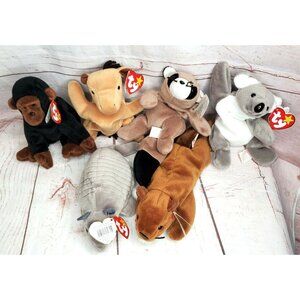 6 Retired Beanie Babies PVC Pellets Mel Ringo Bucky Derby Congo Tank Set